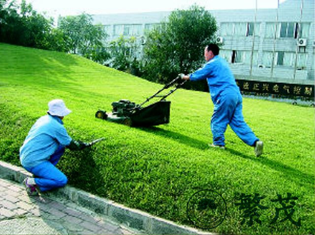苏州高新区某企业绿化养护案例