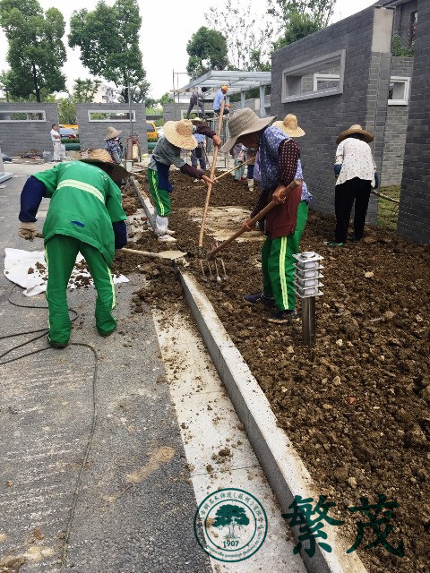 苏州某学校食堂绿化建设工程案例