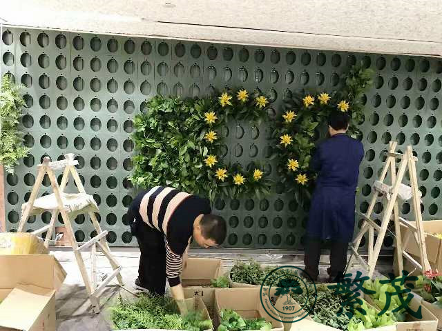 蚌埠某珠宝店立体植物墙案例